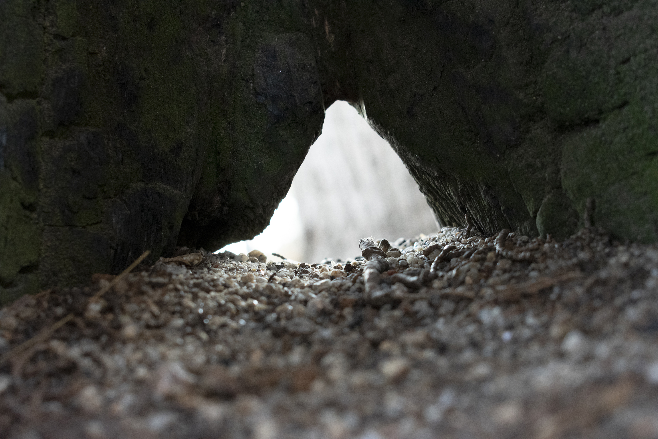 A lit arch